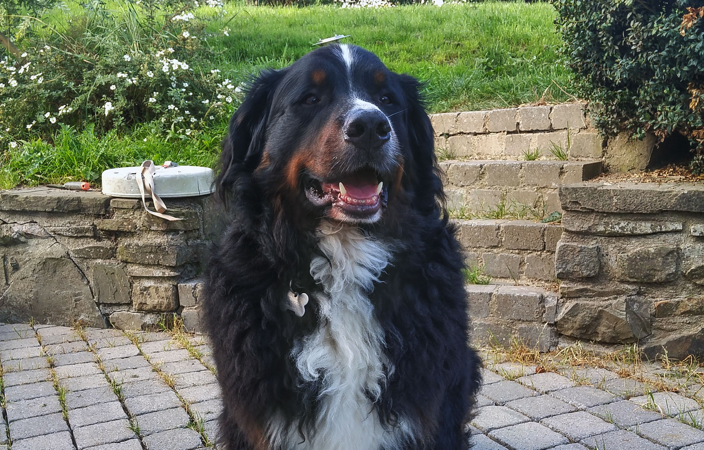 Mutti war heute wieder da.