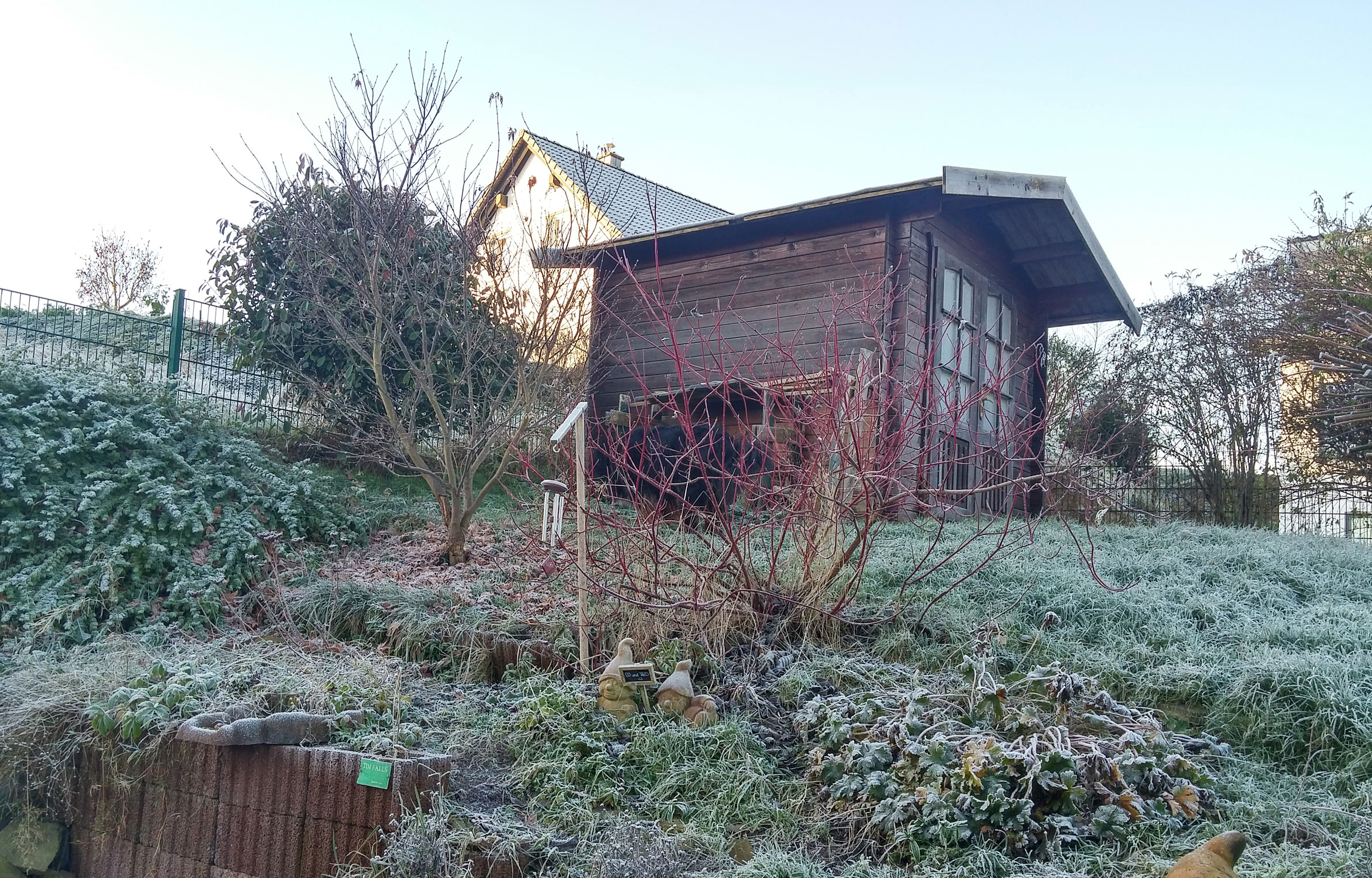 Was ist denn heute los?