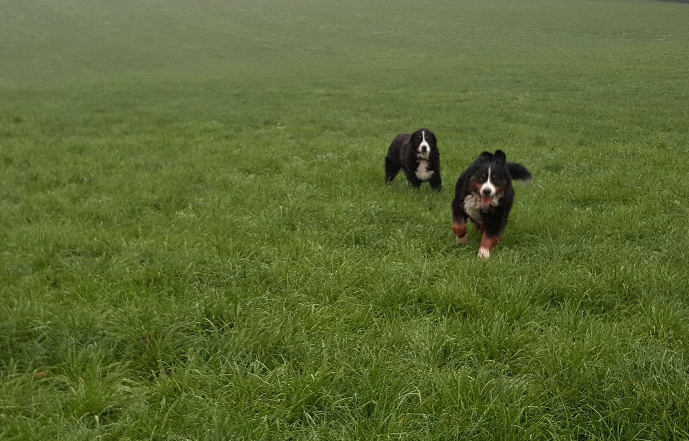Mutti und Luci waren zu Besuch