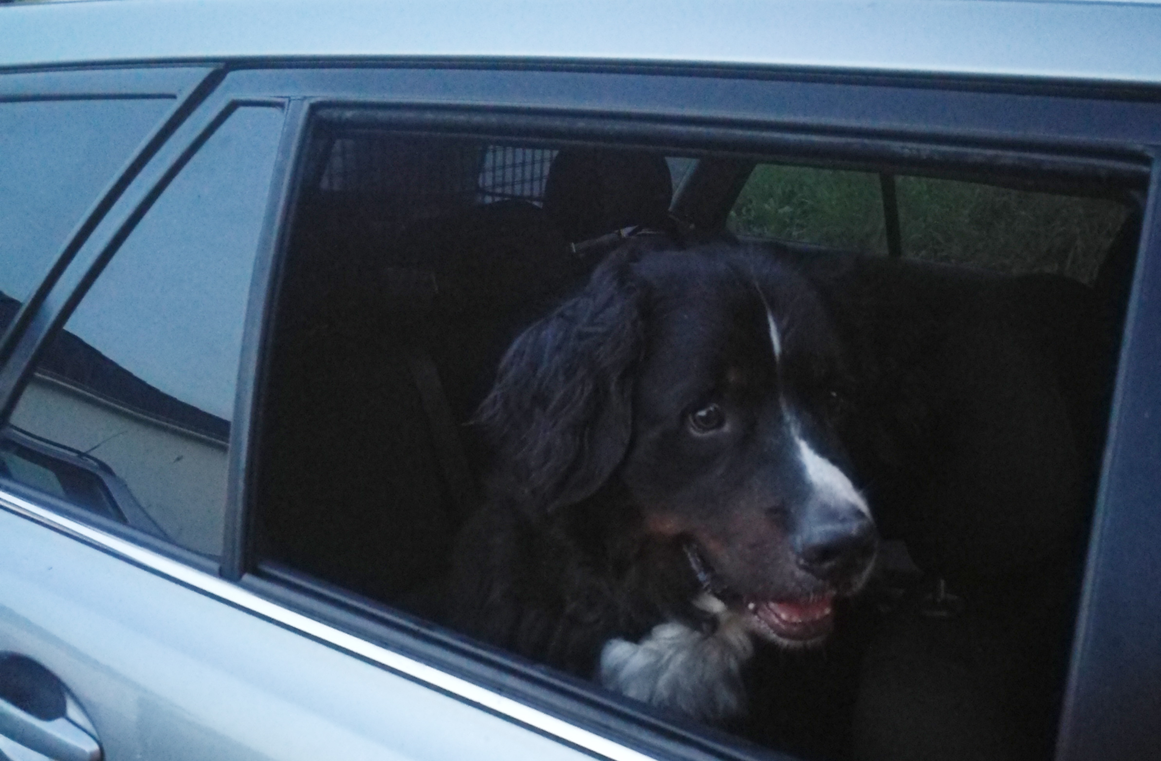 Bin jetzt Autofahrer