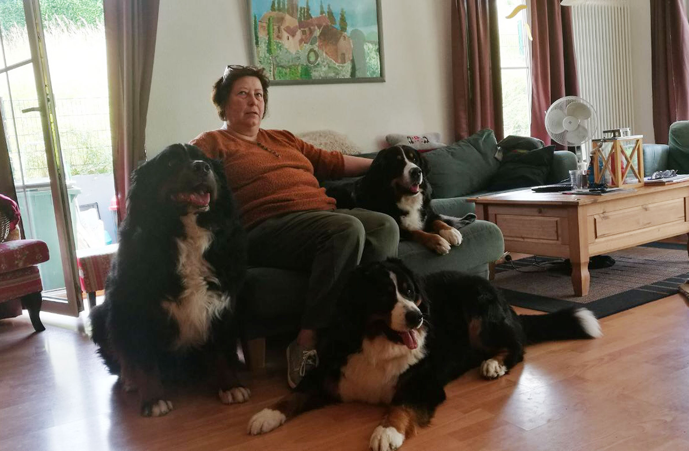 Ich hatte wieder Besuch