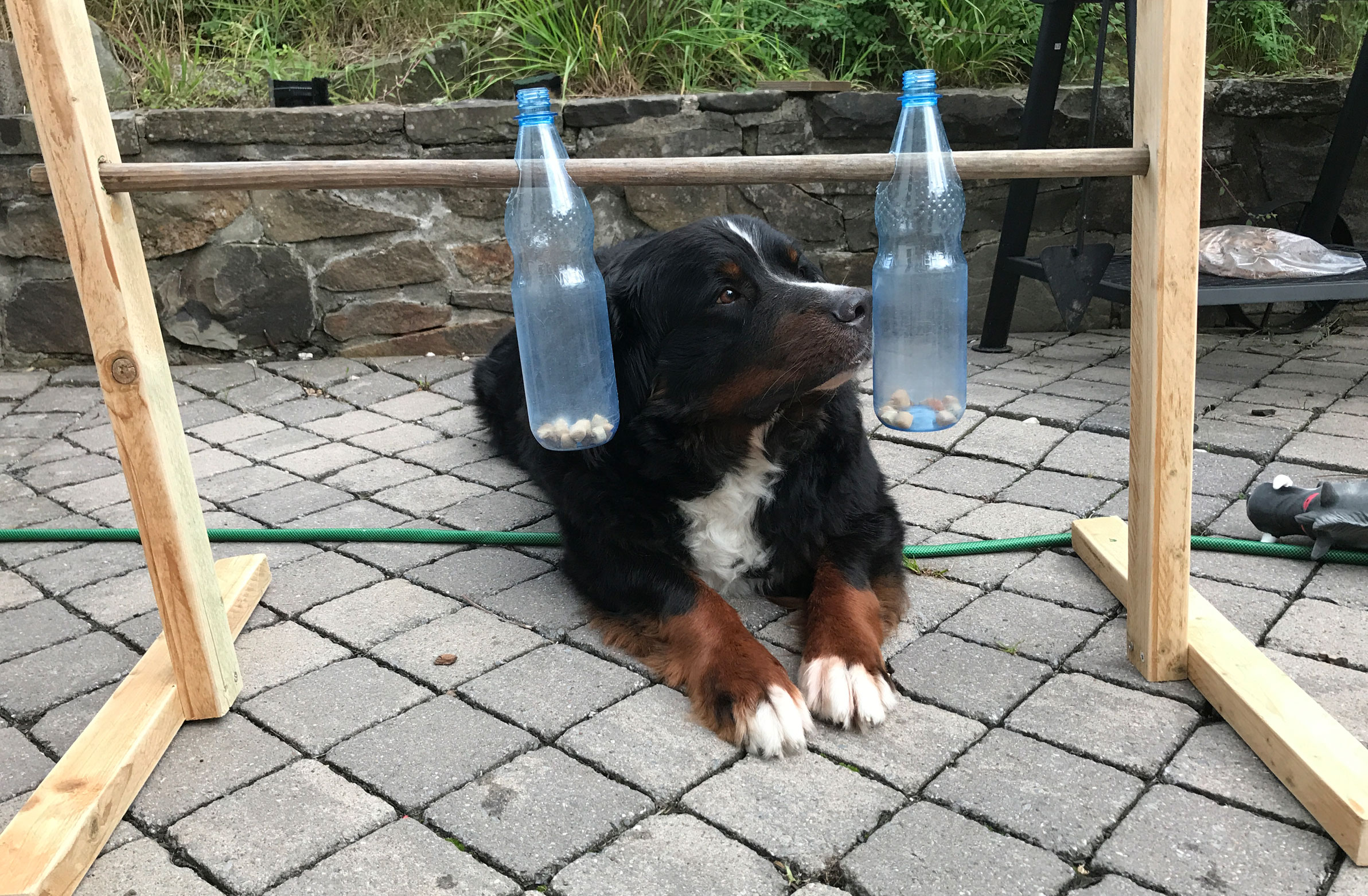 Manno, was ist das denn?