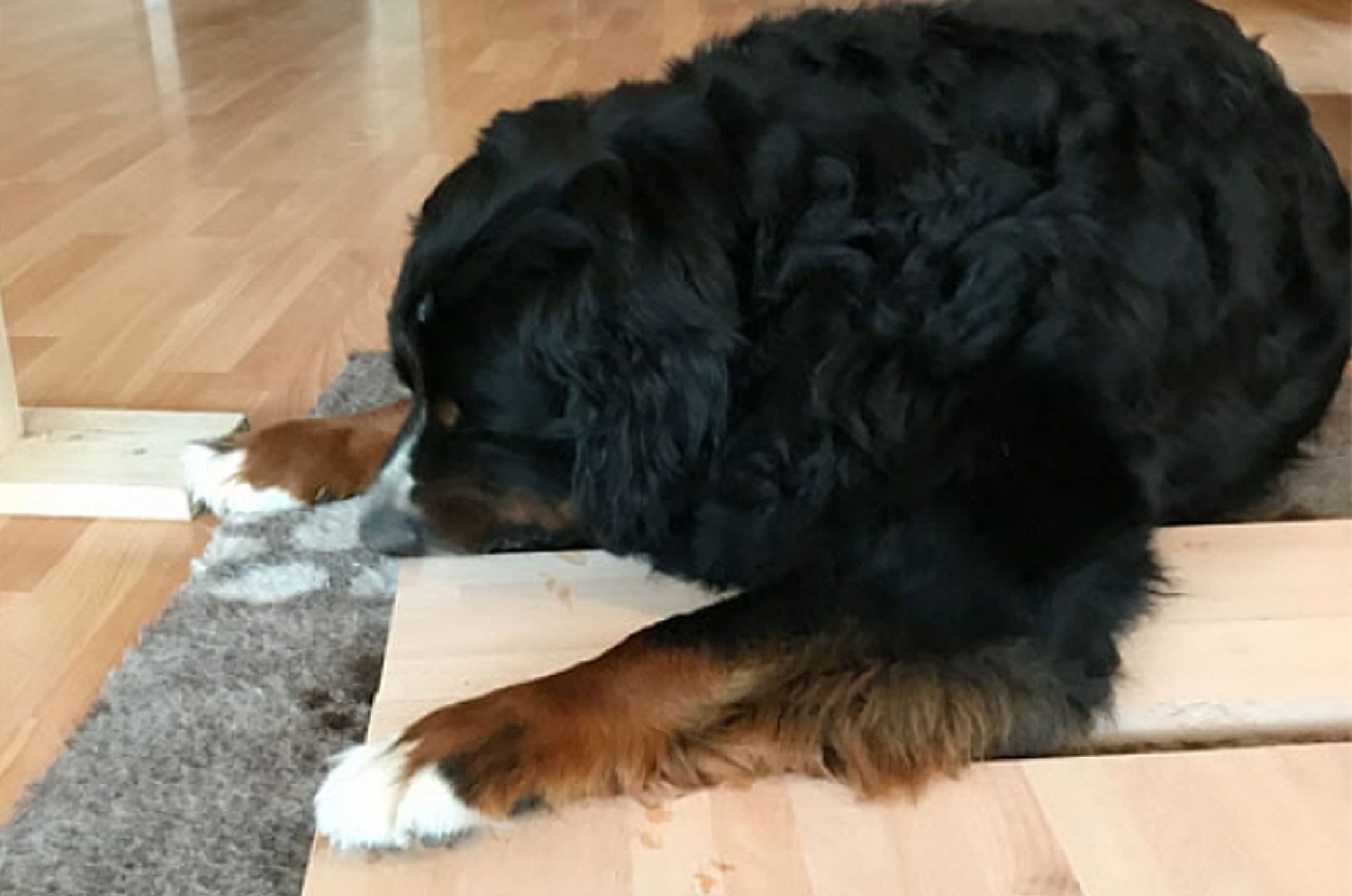 Hier wird wieder gebaut