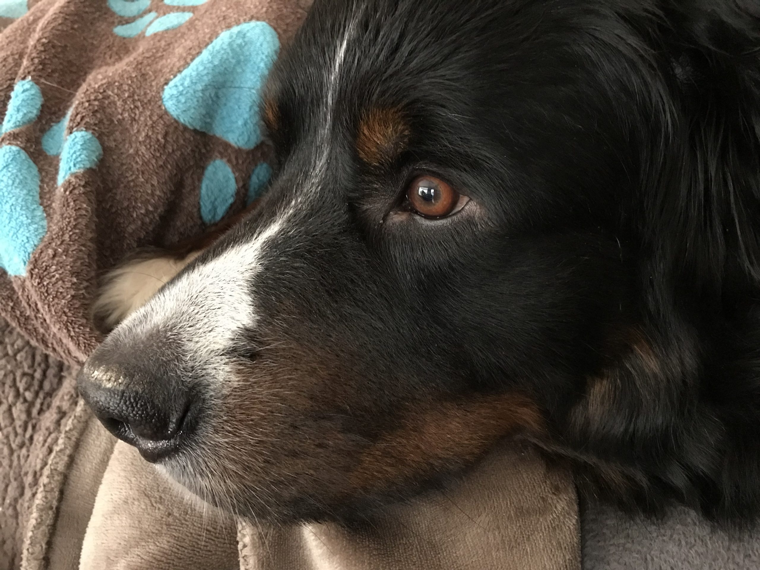 Hallo, ich habe mich ewig nicht gemeldet.