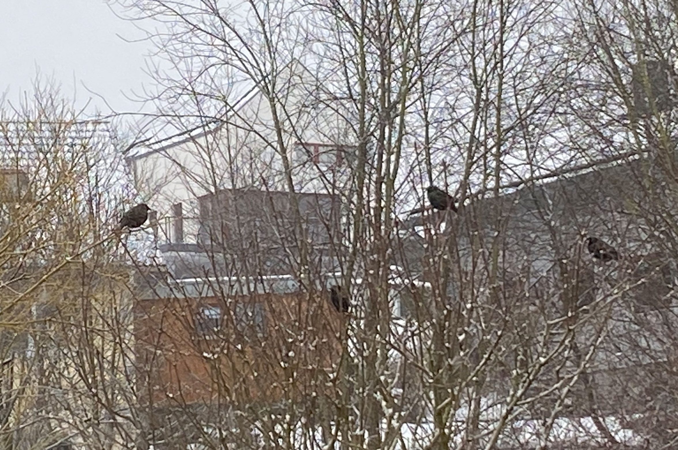 Noch mehr, die essen wollen